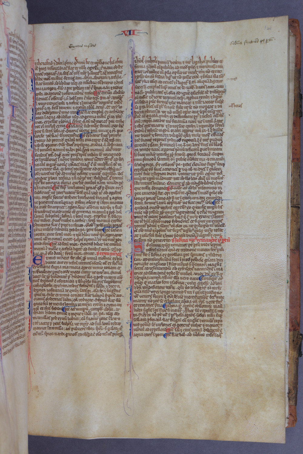 Folio 141 recto